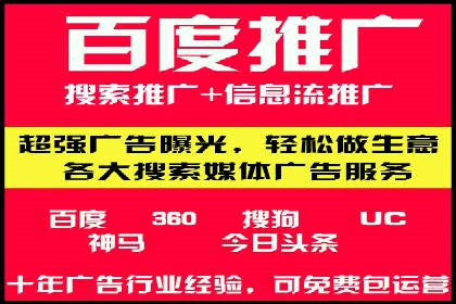 SEM搜索引擎优化：成功案例解析